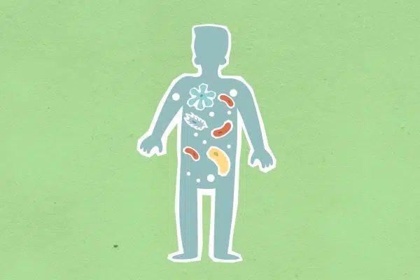 Otomicoza: etiopatogenie și măsuri de prevenire 3 - PrimaClinic.ro 1.2. Otomicoza urechii- cum apare otomicoza-om, bacterii, mediu